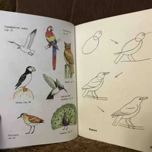 Книга Школа Юного Художника