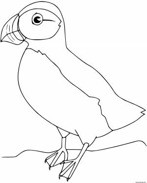 Раскраски Птица тупик