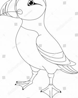 Раскраски Птица тупик