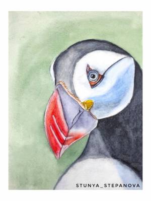 Птица Тупик