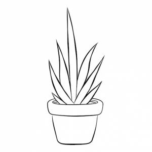 Контурный рисунок растения в горшке