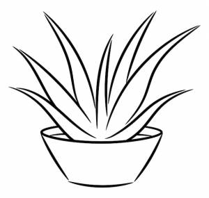 Контурный рисунок растения в горшке упрощенное изображение алоэ вера