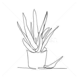 линия · рисунок · алоэ · банка · вектора · белый