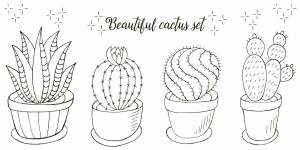 Раскраски Алоэ