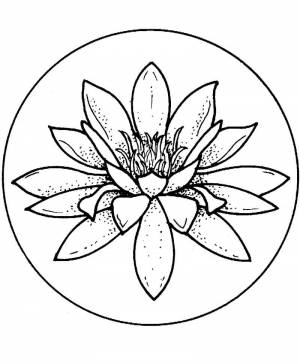 Раскраска красивая водяная ля 4