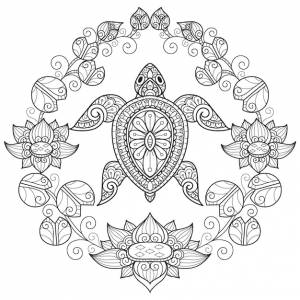 Черепаха и водяная ля, рисованной иллюстрации эскиз для взрослых книжка- раскраска