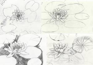 Кувшинки скетч