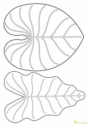 DataLife Engine > Версия для печати > Лист кувшинки раскраска