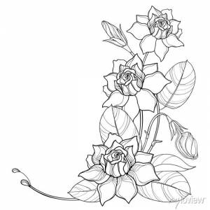 Corner bouquet with outline gardenia flower, bud and ornate leaf плакаты на стену