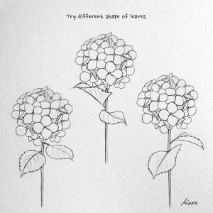 Гортензия рисунок поэтапно