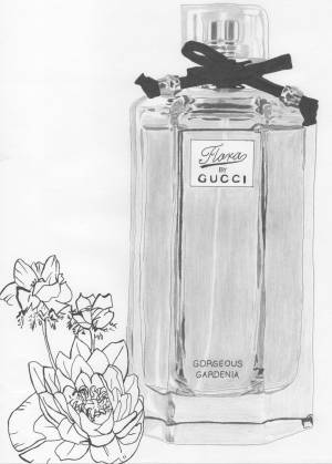 Gorgeous Gardenia, Рисунок