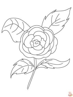 Наслаждайтесь раскрасками Камелия  с GBcoloring