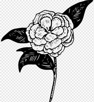 Компьютерные иконки Камелия, Камелия, другие, монохромный, позвоночный png