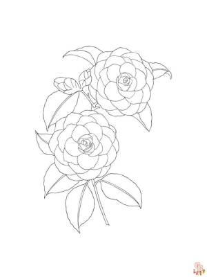 Наслаждайтесь раскрасками Камелия  с GBcoloring