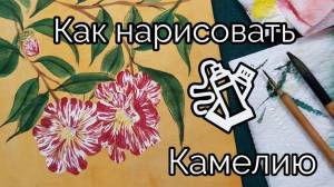 Как нарисовать Камелию видео урок How to Draw Camellia flower 동백꽃 그림 그리기