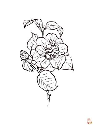 Наслаждайтесь раскрасками Камелия  с GBcoloring