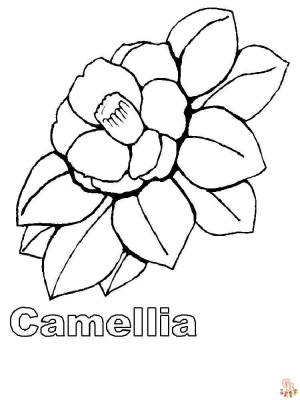 Наслаждайтесь раскрасками Камелия  с GBcoloring