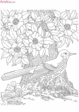 сложные раскраски для взрослых антистресс