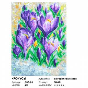 537-AS Крокусы Раскраска картина по номерам на холсте Белоснежка
