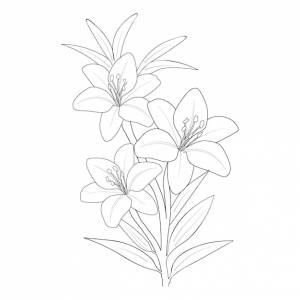 Раскраска цветок ли
