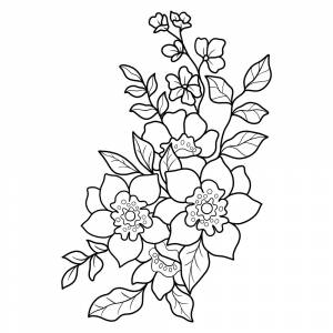 Раскраска Ли Марипоса