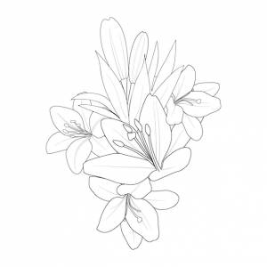 Раскраски ли для детей