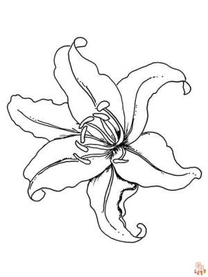 Откройте для себя красоту лй с помощью бесплатных раскрасок для печати