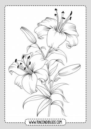 Ли карандашом