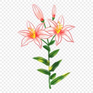 ли PNG рисунок, картинки и пнг прозрачный для й загрузки