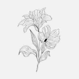 Раскраски с красивыми цветами ли