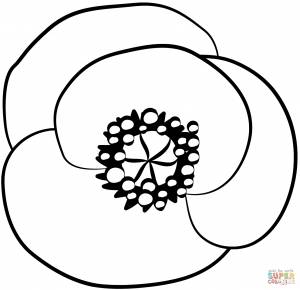 Раскраска Мак