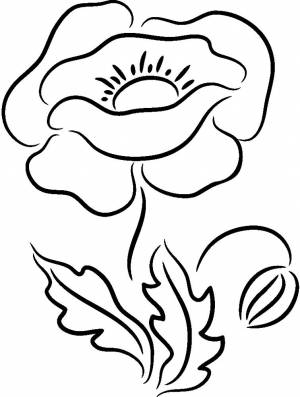 Раскраска Мак