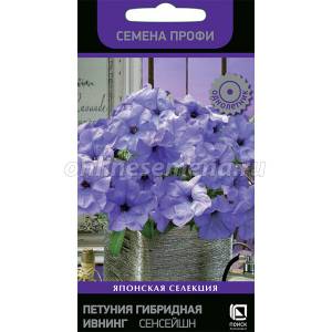 Петуния гибридная Ивнинг Сенсейшн из каталога Семена петунии