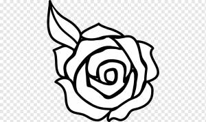 иллюстрация цветка белой и черной розы, контурный рисунок розы, рисунок черно-белой розы, белый, лист, ветка png