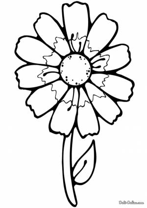 Раскраска Простая ромашка