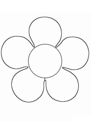 Раскраски цветы Ромашки