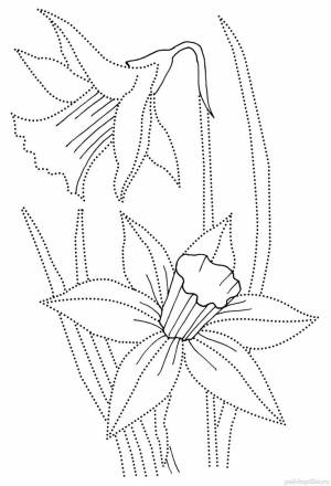 Раскраски Цветы