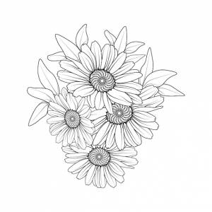 Букет цветка ромашки раскраски страницы рисованной иллюстрации ботанической коллекции выгравированы тушью