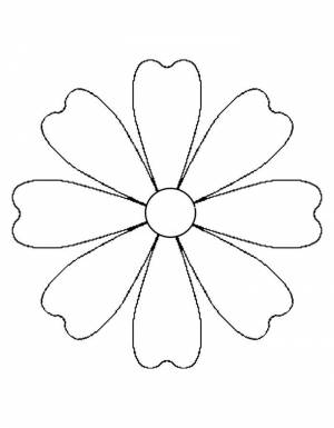 Раскраска ромашка большая