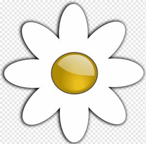 Обыкновенная ромашка Книжка-раскраска Цветок Чёрно-белый, Ромашки, белый, цветок, без роялти png