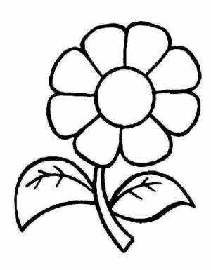 Раскраска ромашка большая