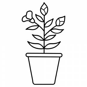 Раскраска Цветы в горшочке