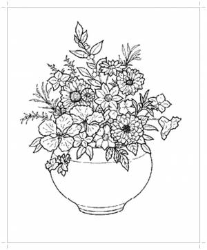 Раскраски комнатные, Раскраска Букет в горшке комнатные растения