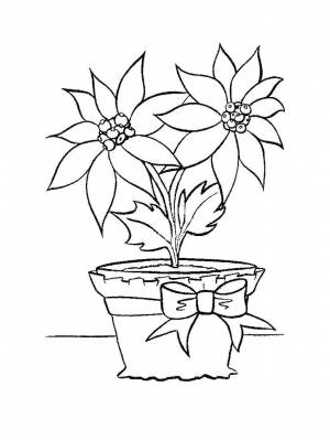 Раскраски горшке, Раскраска Цветы в горшке растения