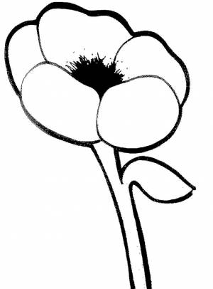 Раскраска Мак