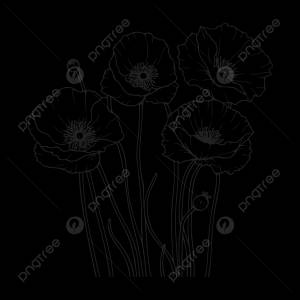 рисунок встроенный цветок мака раскраски страницы наброски эскиз вектор PNG , цветочный рисунок, рисунок крыла, рисунок кольца PNG картинки и пнг рисунок для й загрузки