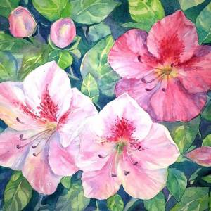 Опять цветы) Азалия акварель рисование скечинг живопись иллюстация скечинг