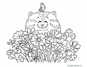 Котик и полевые цветы» раскраска для детей