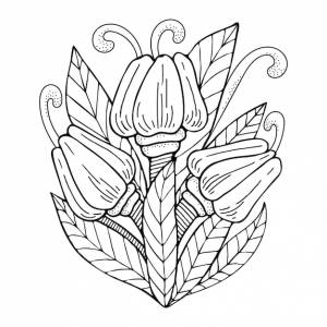 Книжка-раскраска букет тюльпанов садовые цветы с листьями ручной рисунок каракули