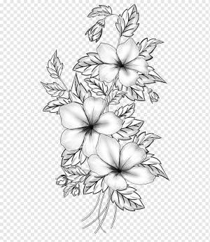 Цветочный дизайн Срезанные цветы Рисование ветки